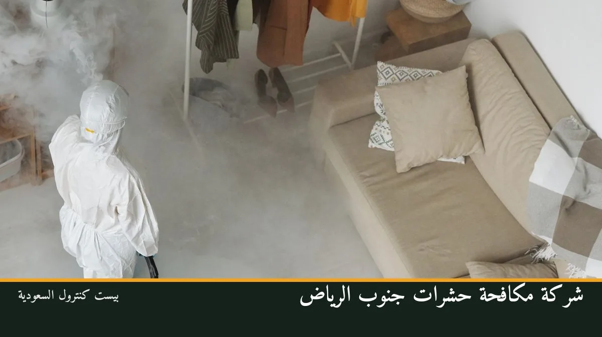 شركة مكافحة حشرات جنوب الرياض