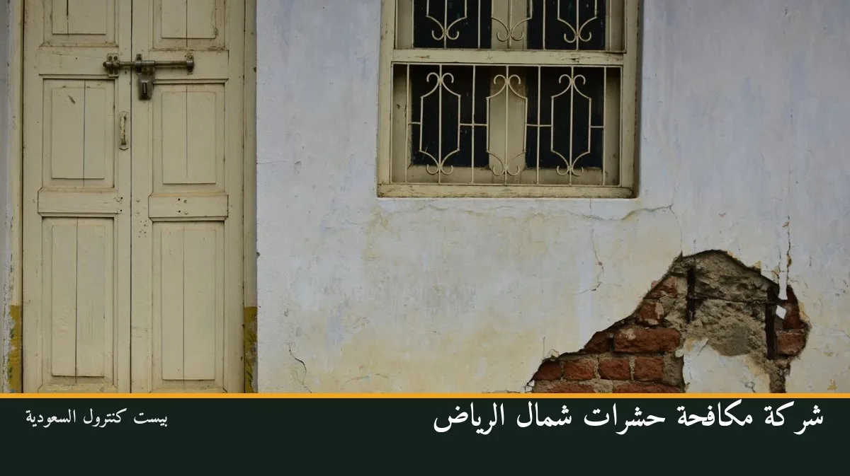شركة مكافحة حشرات شمال الرياض