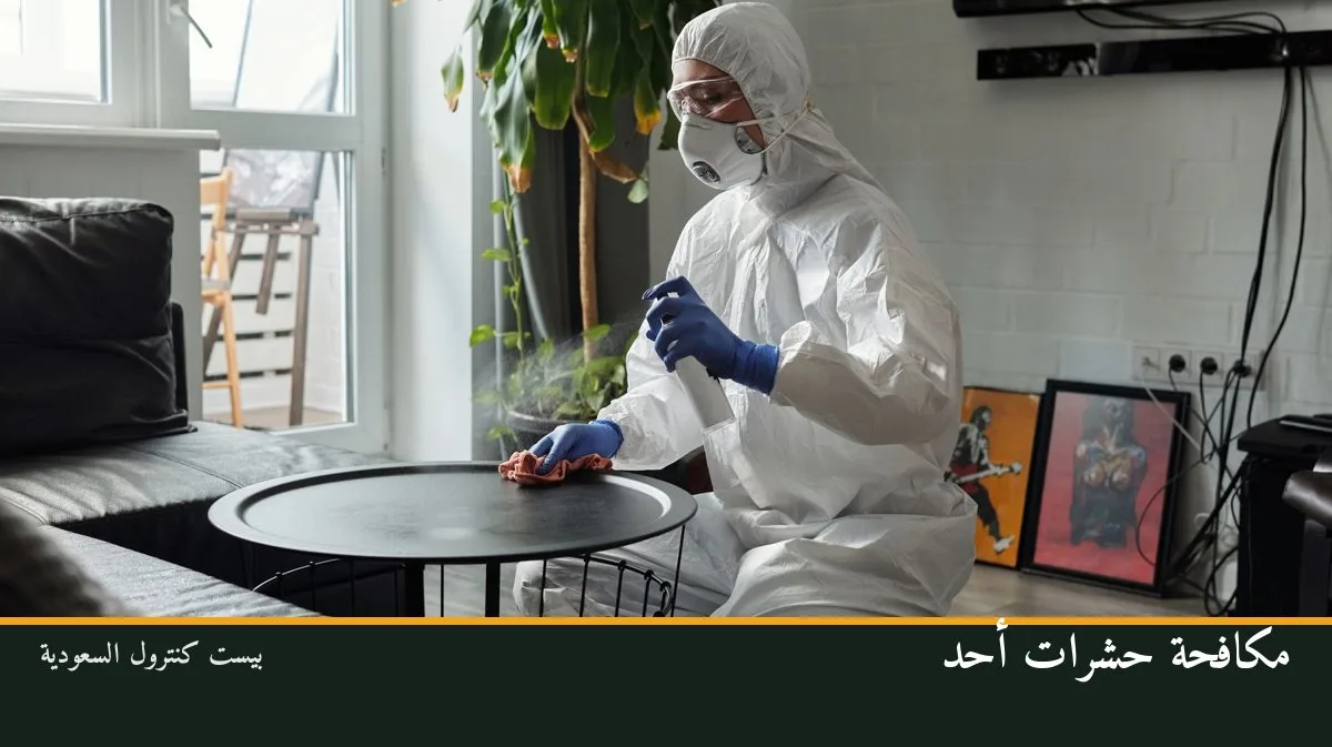 مكافحة حشرات أحد