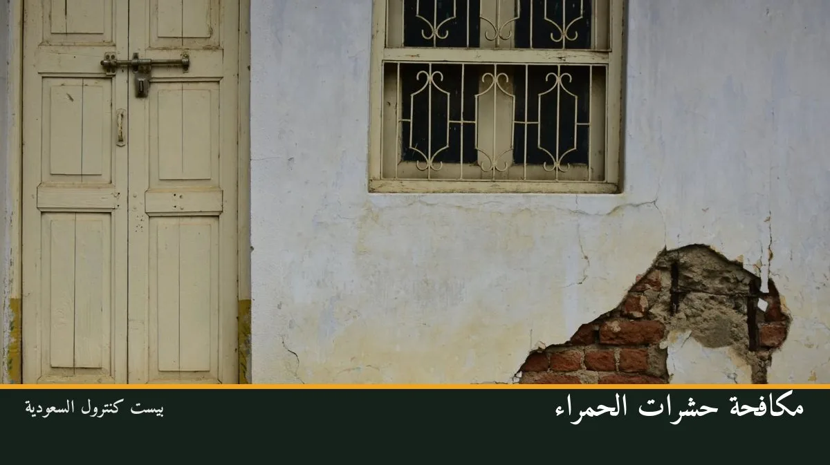 مكافحة حشرات الحمراء
