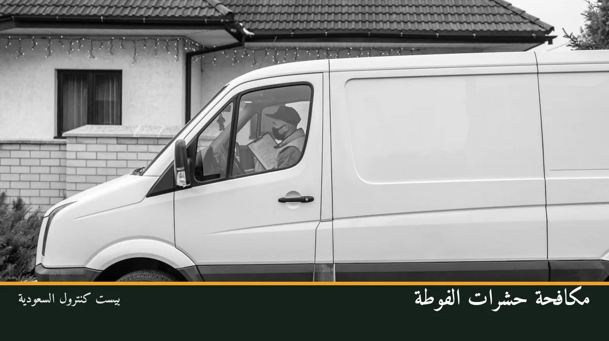 مكافحة حشرات الفوطة