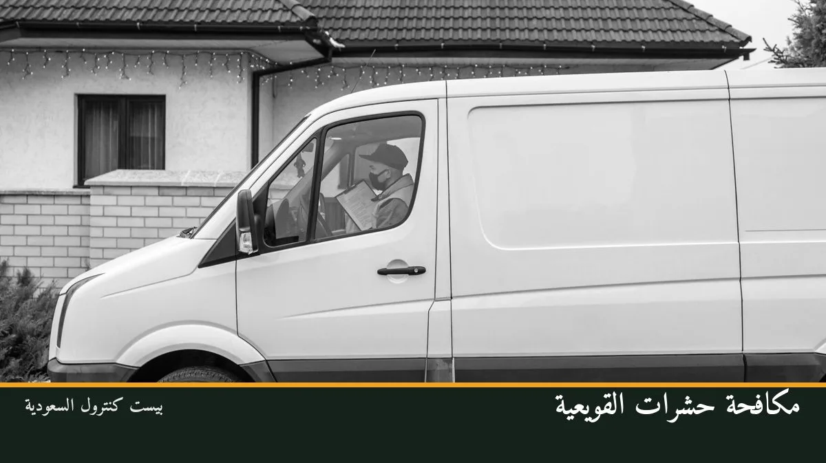 مكافحة حشرات القويعية