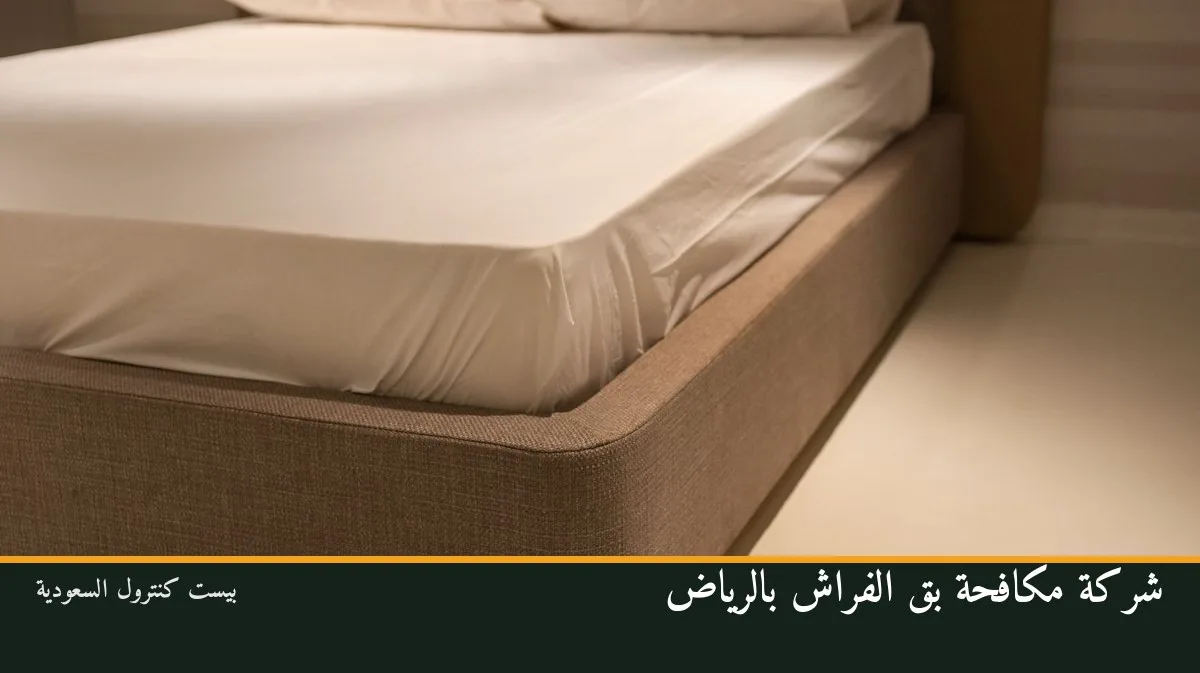 شركة مكافحة بق الفراش بالرياض