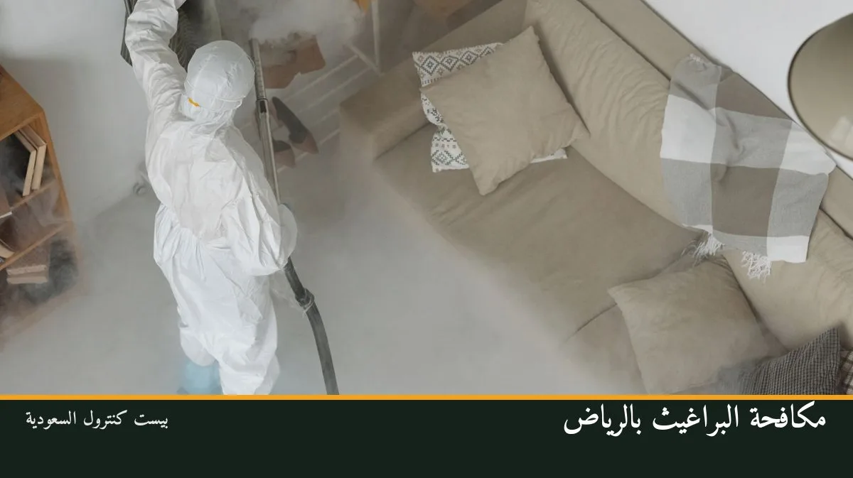 مكافحة البراغيث بالرياض